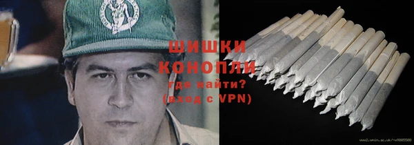 МДПВ Заводоуковск