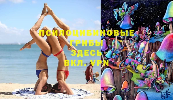 МДПВ Заводоуковск